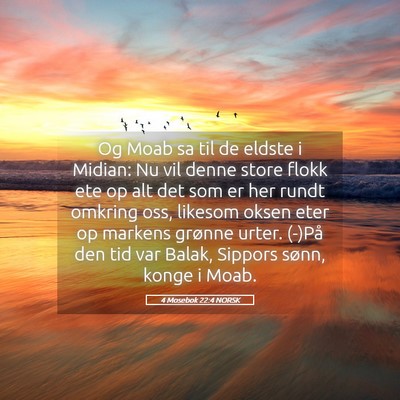Picture 05 - 4 Mosebok 22:4 NORSK - Og Moab sa til de eldste i Midian: Nu vil denne - Bible Verse Picture