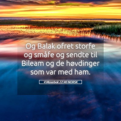Picture 05 - 4 Mosebok 22:40 NORSK - Og Balak ofret storfe og småfe og sendte til - Bible Verse Picture