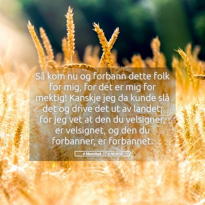 Picture 05 - 4 Mosebok 22:6 NORSK - Så kom nu og forbann dette folk for mig, for det - Bible Verse Picture