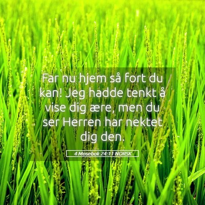 Picture 05 - 4 Mosebok 24:11 NORSK - Far nu hjem så fort du kan! Jeg hadde tenkt å - Bible Verse Picture