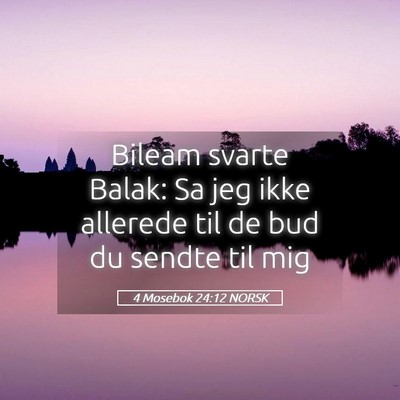 Picture 05 - 4 Mosebok 24:12 NORSK - Bileam svarte Balak: Sa jeg ikke allerede til de - Bible Verse Picture