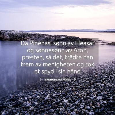 Picture 05 - 4 Mosebok 25:7 NORSK - Da Pinehas, sønn av Eleasar og sønnesønn av - Bible Verse Picture