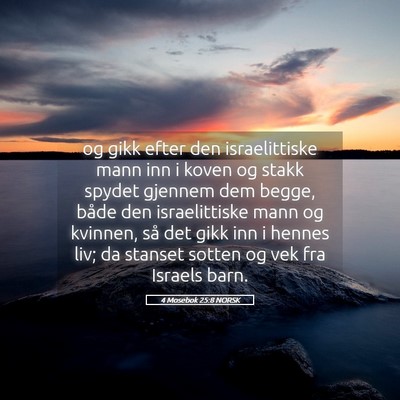 Picture 05 - 4 Mosebok 25:8 NORSK - og gikk efter den israelittiske mann inn i koven - Bible Verse Picture