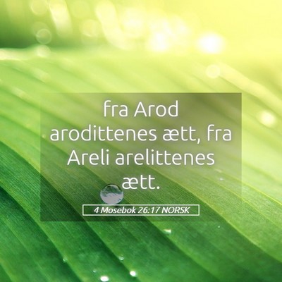 Picture 05 - 4 Mosebok 26:17 NORSK - fra Arod arodittenes ætt, fra Areli arelittenes - Bible Verse Picture