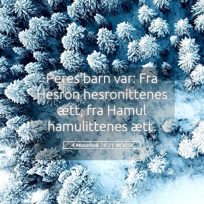Picture 05 - 4 Mosebok 26:21 NORSK - Peres'barn var: Fra Hesron hesronittenes ætt, - Bible Verse Picture