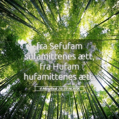 Picture 05 - 4 Mosebok 26:39 NORSK - fra Sefufam sufamittenes ætt, fra Hufam - Bible Verse Picture