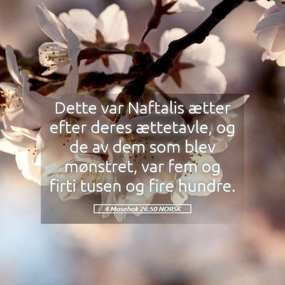 Picture 05 - 4 Mosebok 26:50 NORSK - Dette var Naftalis ætter efter deres ættetavle, - Bible Verse Picture