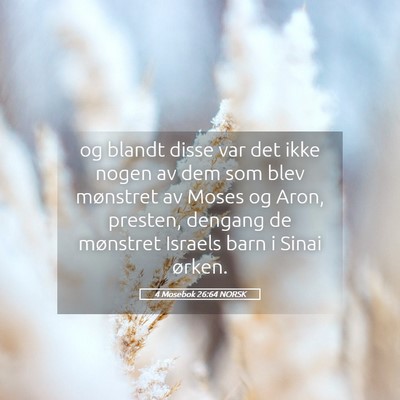 Picture 05 - 4 Mosebok 26:64 NORSK - og blandt disse var det ikke nogen av dem som - Bible Verse Picture
