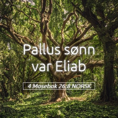 Picture 05 - 4 Mosebok 26:8 NORSK - Pallus sønn var - Bible Verse Picture
