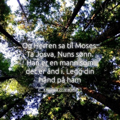 Picture 05 - 4 Mosebok 27:18 NORSK - Og Herren sa til Moses: Ta Josva, Nuns sønn. Han - Bible Verse Picture