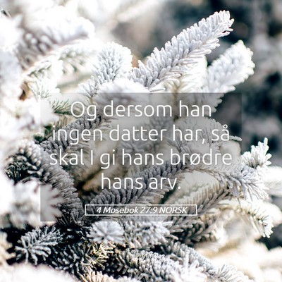 Picture 05 - 4 Mosebok 27:9 NORSK - Og dersom han ingen datter har, så skal I gi - Bible Verse Picture