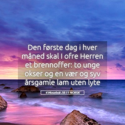 Picture 05 - 4 Mosebok 28:11 NORSK - Den første dag i hver måned skal I ofre Herren - Bible Verse Picture