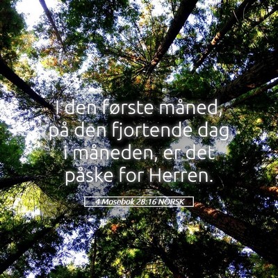 Picture 05 - 4 Mosebok 28:16 NORSK - I den første måned, på den fjortende dag i - Bible Verse Picture