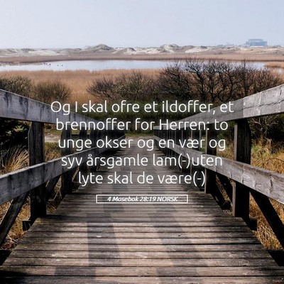 Picture 05 - 4 Mosebok 28:19 NORSK - Og I skal ofre et ildoffer, et brennoffer for - Bible Verse Picture
