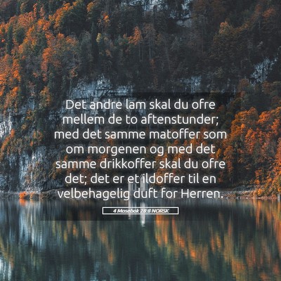 Picture 05 - 4 Mosebok 28:8 NORSK - Det andre lam skal du ofre mellem de to - Bible Verse Picture