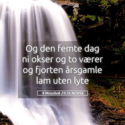 Picture 05 - 4 Mosebok 29:26 NORSK - Og den femte dag ni okser og to værer og fjorten - Bible Verse Picture