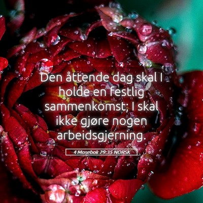 Picture 05 - 4 Mosebok 29:35 NORSK - Den åttende dag skal I holde en festlig - Bible Verse Picture