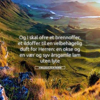Picture 05 - 4 Mosebok 29:36 NORSK - Og I skal ofre et brennoffer, et ildoffer til en - Bible Verse Picture