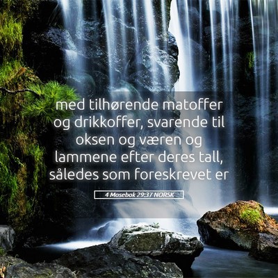 Picture 05 - 4 Mosebok 29:37 NORSK - med tilhørende matoffer og drikkoffer, svarende - Bible Verse Picture