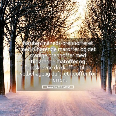 Picture 05 - 4 Mosebok 29:6 NORSK - foruten måneds-brennofferet med tilhørende - Bible Verse Picture