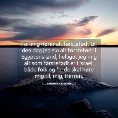 Picture 05 - 4 Mosebok 3:13 NORSK - For mig hører alt førstefødt til; den dag jeg - Bible Verse Picture