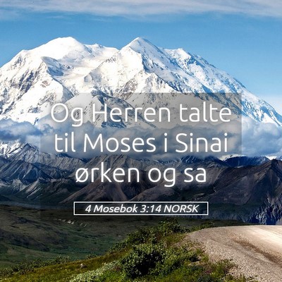 Picture 05 - 4 Mosebok 3:14 NORSK - Og Herren talte til Moses i Sinai ørken og - Bible Verse Picture