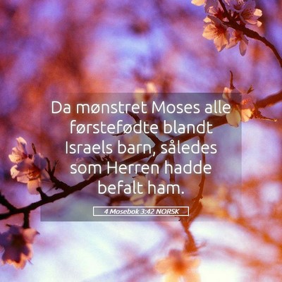 Picture 05 - 4 Mosebok 3:42 NORSK - Da mønstret Moses alle førstefødte blandt - Bible Verse Picture