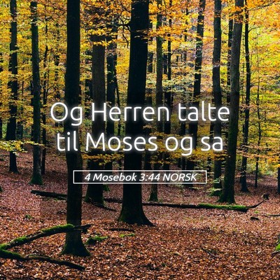 Picture 05 - 4 Mosebok 3:44 NORSK - Og Herren talte til Moses og - Bible Verse Picture