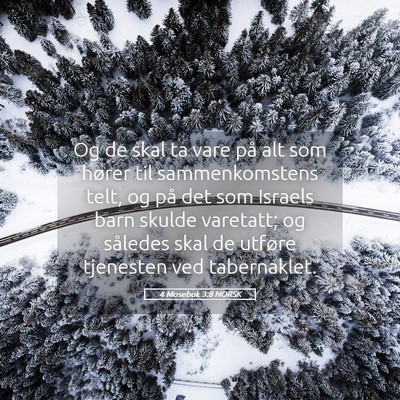 Picture 05 - 4 Mosebok 3:8 NORSK - Og de skal ta vare på alt som hører til - Bible Verse Picture