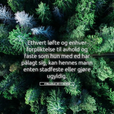 Picture 05 - 4 Mosebok 30:13 NORSK - Ethvert løfte og enhver forpliktelse til avhold - Bible Verse Picture