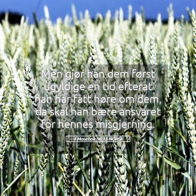 Picture 05 - 4 Mosebok 30:15 NORSK - Men gjør han dem først ugyldige en tid efterat - Bible Verse Picture