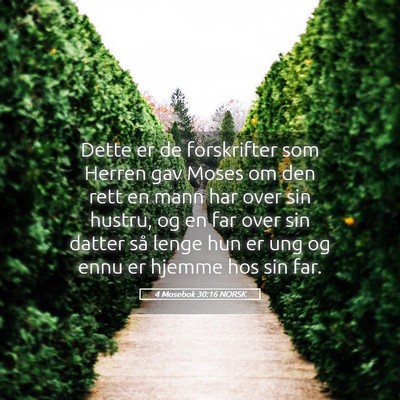 Picture 05 - 4 Mosebok 30:16 NORSK - Dette er de forskrifter som Herren gav Moses om - Bible Verse Picture