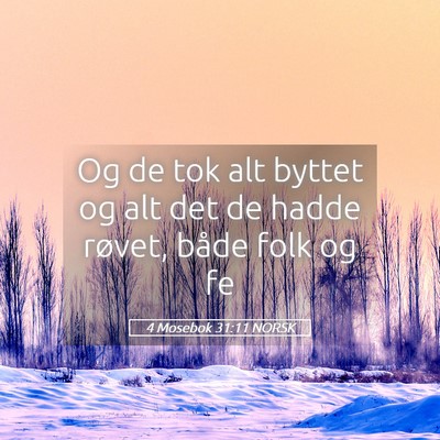 Picture 05 - 4 Mosebok 31:11 NORSK - Og de tok alt byttet og alt det de hadde røvet, - Bible Verse Picture