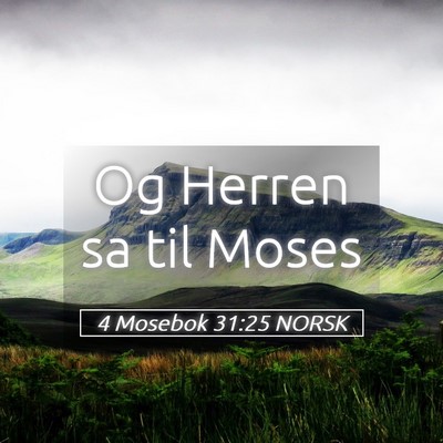 Picture 05 - 4 Mosebok 31:25 NORSK - Og Herren sa til - Bible Verse Picture
