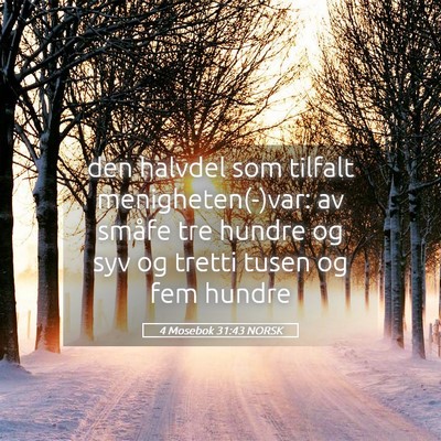 Picture 05 - 4 Mosebok 31:43 NORSK - den halvdel som tilfalt menigheten(-)var: av - Bible Verse Picture