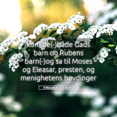 Picture 05 - 4 Mosebok 32:2 NORSK - kom de(-)både Gads barn og Rubens barn(-)og sa - Bible Verse Picture
