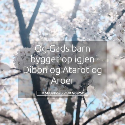 Picture 05 - 4 Mosebok 32:34 NORSK - Og Gads barn bygget op igjen Dibon og Atarot og - Bible Verse Picture