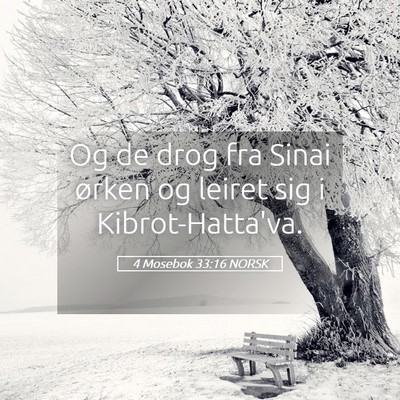 Picture 05 - 4 Mosebok 33:16 NORSK - Og de drog fra Sinai ørken og leiret sig i - Bible Verse Picture