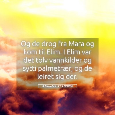 Picture 05 - 4 Mosebok 33:9 NORSK - Og de drog fra Mara og kom til Elim. I Elim var - Bible Verse Picture