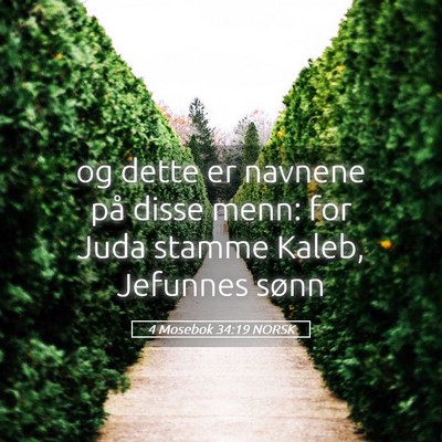 Picture 05 - 4 Mosebok 34:19 NORSK - og dette er navnene på disse menn: for Juda - Bible Verse Picture