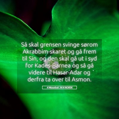 Picture 05 - 4 Mosebok 34:4 NORSK - Så skal grensen svinge sørom Akrabbim-skaret og - Bible Verse Picture