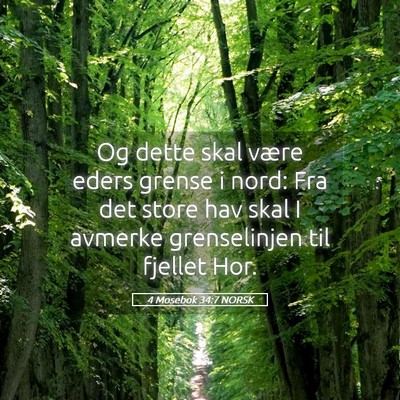 Picture 05 - 4 Mosebok 34:7 NORSK - Og dette skal være eders grense i nord: Fra det - Bible Verse Picture