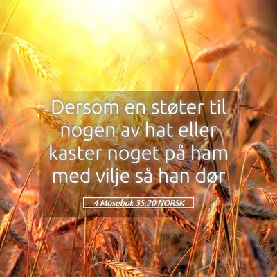 Picture 05 - 4 Mosebok 35:20 NORSK - Dersom en støter til nogen av hat eller kaster - Bible Verse Picture