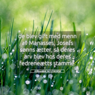 Picture 05 - 4 Mosebok 36:12 NORSK - de blev gift med menn av Manasses, Josefs sønns - Bible Verse Picture