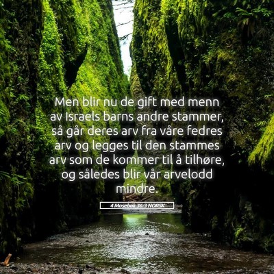 Picture 05 - 4 Mosebok 36:3 NORSK - Men blir nu de gift med menn av Israels barns - Bible Verse Picture