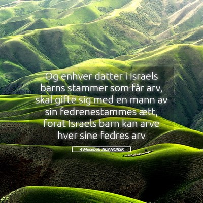 Picture 05 - 4 Mosebok 36:8 NORSK - Og enhver datter i Israels barns stammer som får - Bible Verse Picture