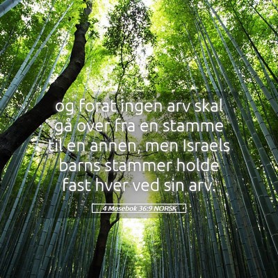 Picture 05 - 4 Mosebok 36:9 NORSK - og forat ingen arv skal gå over fra en stamme - Bible Verse Picture