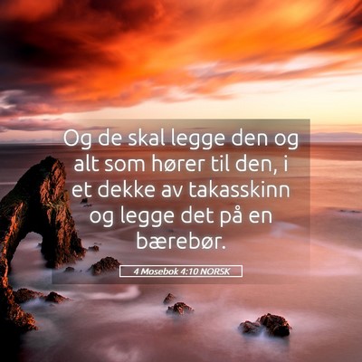 Picture 05 - 4 Mosebok 4:10 NORSK - Og de skal legge den og alt som hører til den, i - Bible Verse Picture