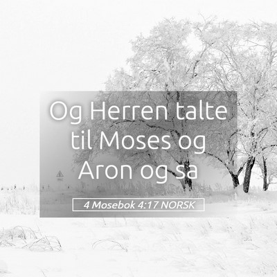 Picture 05 - 4 Mosebok 4:17 NORSK - Og Herren talte til Moses og Aron og - Bible Verse Picture