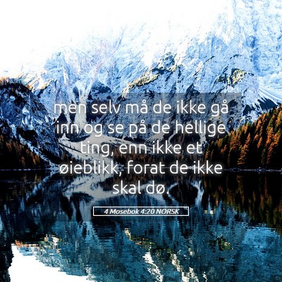 Picture 05 - 4 Mosebok 4:20 NORSK - men selv må de ikke gå inn og se på de hellige - Bible Verse Picture